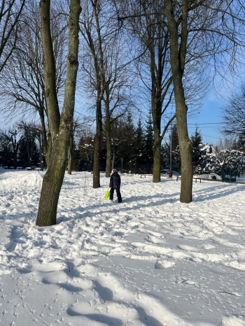 Zima36.jpeg