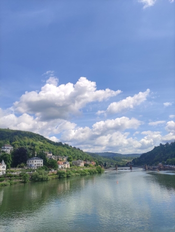 tmp_33ce8986-76fc-4ef1-a808-79931a2cc69d.jpeg